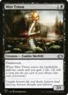 Mire Triton #443