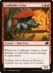 Coalhauler Swine #516