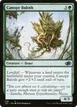Canopy Baloth #638