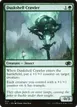 Duskshell Crawler #650
