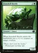 Ironshell Beetle #679