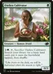 Oashra Cultivator #697