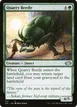 Quarry Beetle #714