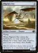 Pilgrim's Eye #791