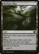 Mortuary Mire #817