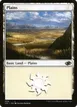 Plains #99