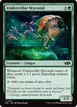 Undercellar Myconid #150