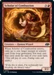Scholar of Combustion #19