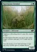 Razorgrass Invoker #22