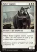 Relief Captain #241