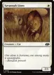 Savannah Lions #249