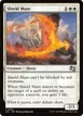 Shield Mare #253