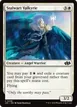 Stalwart Valkyrie #258