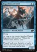 Expedition Diviner #307