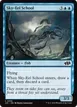 Sky-Eel School #359