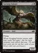 Gorging Vulture #449