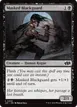 Masked Blackguard #459