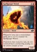 Spellgorger Weird #601