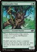 Ambassador Oak #626