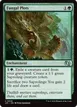 Fungal Plots #658