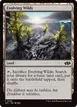 Evolving Wilds #765