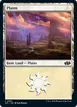 Plains #81