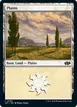 Plains #83