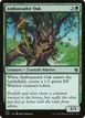 Ambassador Oak #375