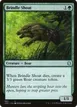 Brindle Shoat #380