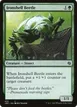 Ironshell Beetle #405