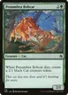 Penumbra Bobcat #418
