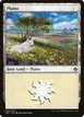 Plains #45