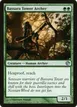 Bassara Tower Archer #117
