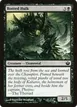 Rotted Hulk #81