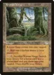 Krosan Verge #141