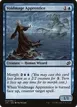 Voidmage Apprentice #4