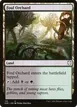 Foul Orchard #110