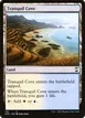 Tranquil Cove #119