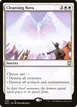 Cleansing Nova #20