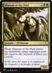 Shaman of the Pack #92