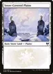 Snow-Covered Plains #276