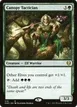 Canopy Tactician #378