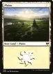 Plains #394