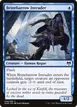 Brinebarrow Intruder #49