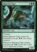 Riparian Tiger #167