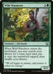 Wild Wanderer #173