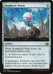 Prophetic Prism #229