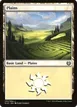 Plains #252