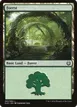 Forest #262
