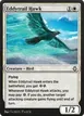 Eddytrail Hawk #16